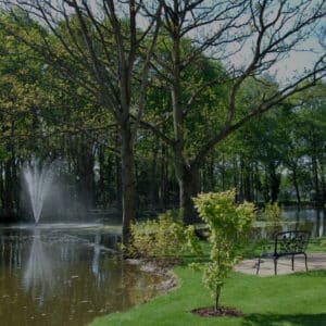 Gardens with trees lake and fountain Houses for sale
